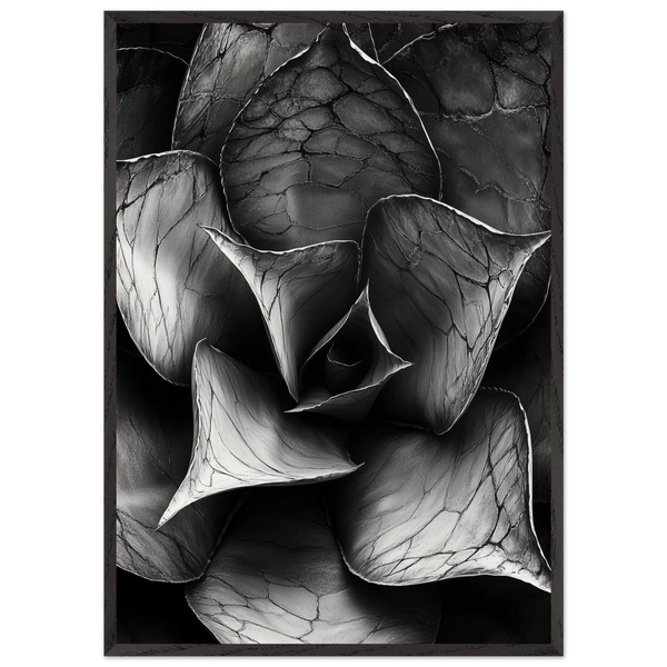 072b2d36-0c9d-417d-a0c2-417d8dbc2d76