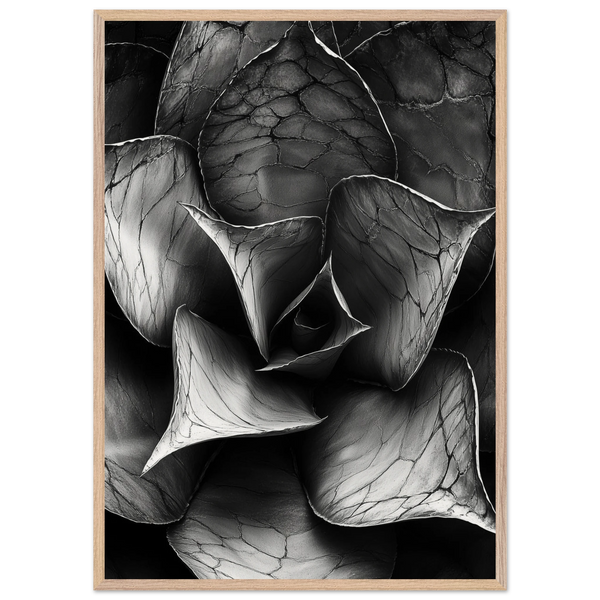 1281ed4f-85e8-405e-a923-8e4488502006