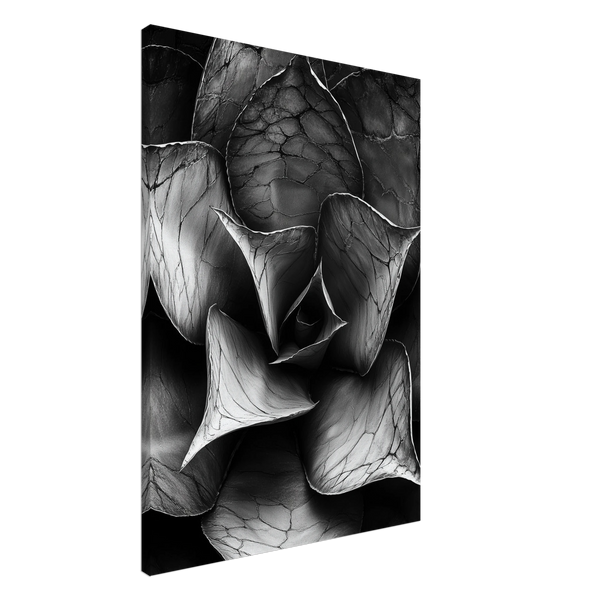 132d3f00-a612-4af4-b09f-3c85b5607426