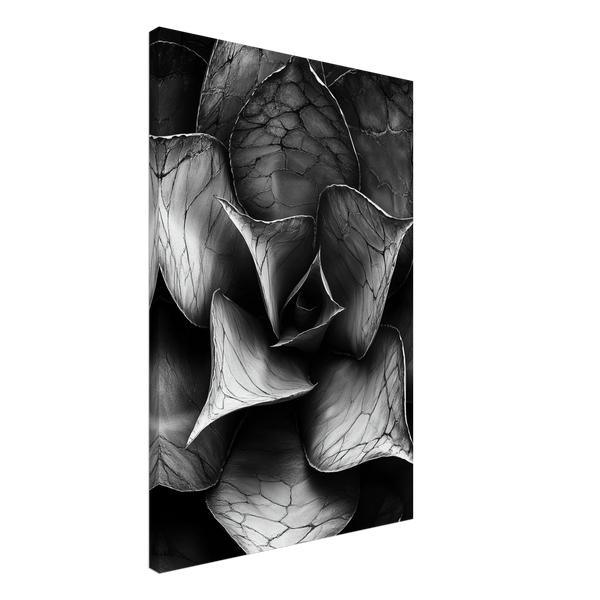 1a61282a-df58-483a-8f03-d14acbbf17a4