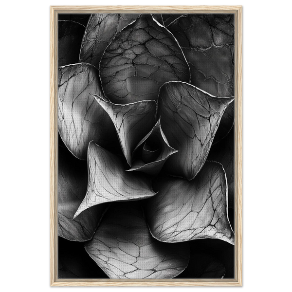 25ba29c1-b990-474f-aa75-7807823ebd3a