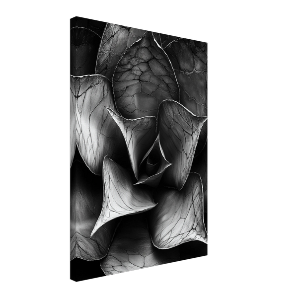 3dbacc17-f981-4cd5-94e0-63f4df8eac7b