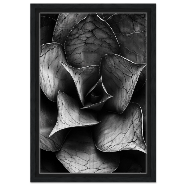 42f7af8c-3202-43dc-b74c-4df3ff76f13e