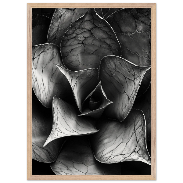 760e6fa0-f0cd-4684-831f-120fd6663a64