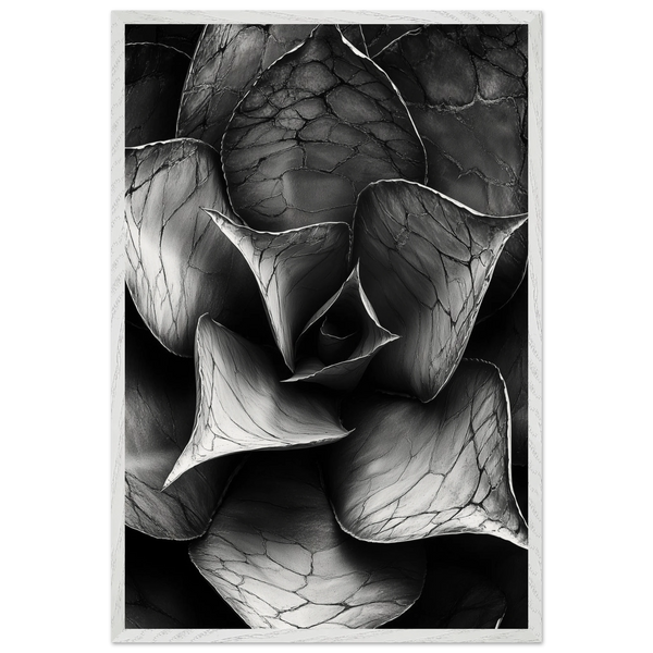 ace5a513-ea81-4174-a6fb-115464dfbc52