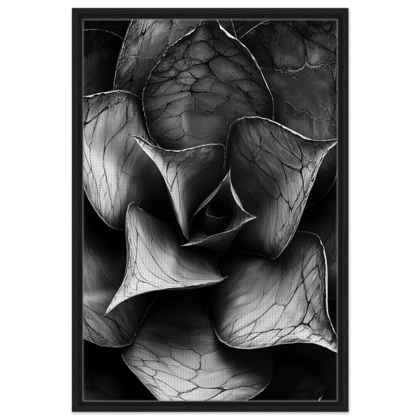 b26bd07d-30ae-4f49-b66d-d6e77b30c368