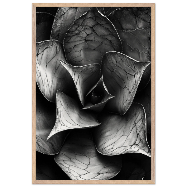 b9b21a2e-b150-4adc-94e5-2a5f4296a295