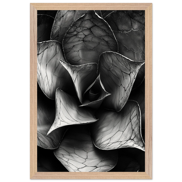 eacc43cc-35f0-4d81-8685-bc2e8fc174b4