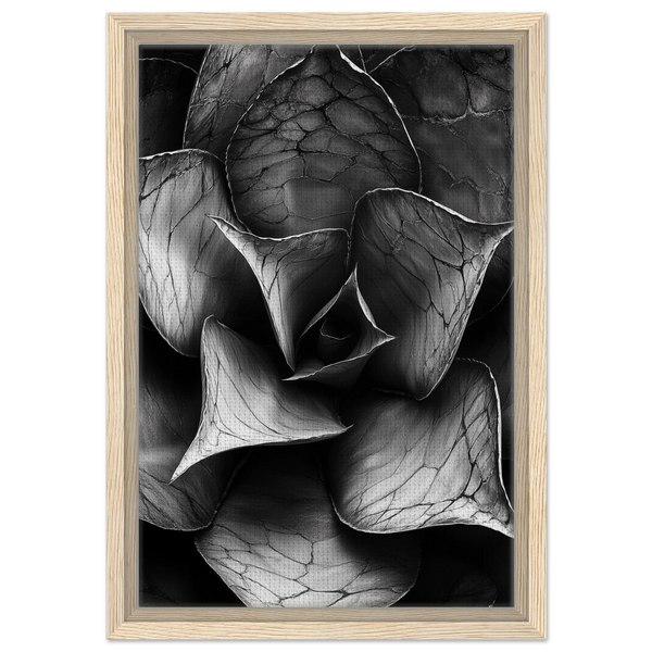 eeed0402-75b1-4e2f-9158-7f326fb0291e