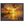 013e7017-7f7d-4d8b-85f9-c5cf330865c9