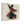05d0c1b8-7bc0-4e06-a231-ba6cebf5436d