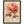 08b3a53c-51c3-4fef-9d88-44ba9eacc324