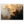 0ae29731-b4d6-4922-be45-0808eaa28ab5