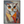 0d4acfe6-5347-41a1-838c-f77db9debb41
