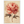13a0496b-1333-4d86-9fd2-e76a8b258be0