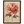 23ea0d85-fd67-4ab0-bc35-bfb36d75dddb