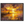 28683f37-3350-4660-8cf6-5aacced81f25