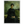 2b232a78-ba03-42b3-a633-927e2e29df94
