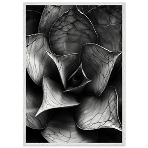 2f2451e3-2d41-4b42-b5e7-9476ebc5d5cb