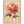 2f961775-6e9c-463a-8ed2-633756d265b0