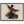 31a077e4-637b-4ce3-a905-7f544d97e76d