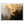 33b66207-46f0-4b7f-a755-de2c522fd4b9