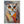 3632e392-2965-41c5-9f81-61f9fd41da47