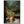 3eecf66d-dcdf-4826-b642-08fba7d9e08a