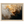41133646-fb8e-4bd5-b659-833b504a79e0