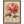 4a0a5cd4-01e6-486b-9629-255ccda62a3c