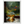 4d6cbbf8-fc22-4934-bae2-91e7d99cc421