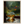 4d9734ca-1361-4c20-be55-a050dc3e2aa6