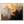 5bd8946e-c63b-4783-a961-c63c314050c1