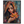 5d8ed8cb-c446-46e4-afda-e6a0fe999268