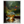 5dfe1bdd-cbbf-4d28-b10e-8487b1fac5da