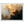 62b871a2-1e6e-4a04-bee7-805165c52482