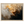65dded11-8b8d-4427-8695-06870e15e653