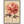 68460551-e85c-4a52-85ed-22671921c05a