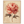 694d8e99-b810-477a-a93e-a552365b2dad