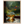 6b0b6750-52c1-40ea-aae1-6a59b48f4bda