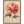 6bfe03f3-2920-4f04-8eb8-7fa4427a36bc