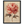 7067d4f9-def7-4c2f-82c4-8a90c13f9c80