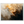 71c4728c-c797-40e9-9cbd-ab507af57a2d