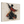 72a2882c-341c-4ae0-8485-0597845a52c8