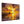 7d2f51f4-dae5-4f4f-a33f-5ff41fa72c22
