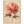 7ed13dda-52e7-4e83-84d6-924f699857b3
