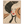 818739e1-5c85-4abb-8145-3bcc569581a7