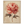 8b81c8aa-a9a7-4afa-bd38-5923c985ebf7