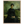 916e8cbf-8d72-44ca-aab6-1eee200032da