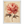 96eabbb8-70cc-4510-a0d4-6f528e99b04e